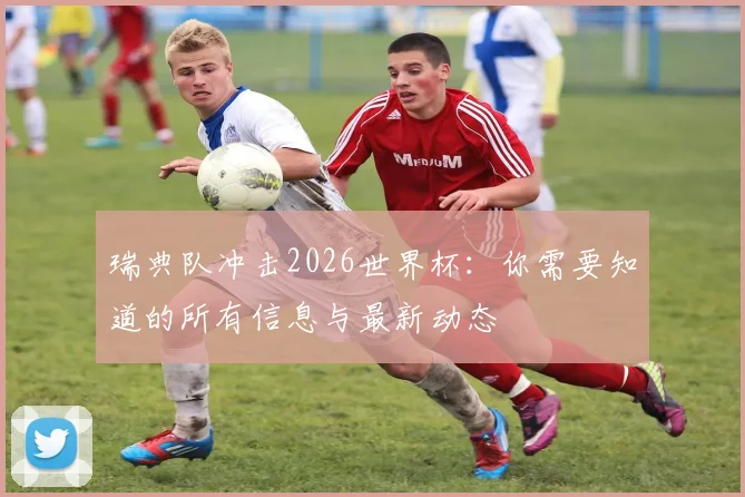 瑞典队冲击2026世界杯:你需要知道的所有信息与最新动态